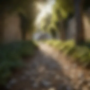 Pathway to Personal Growth A visual journey of personal and professional growth